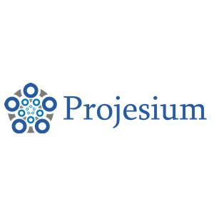 Projesium-Blockchain-Meet-and-Greet.jpg