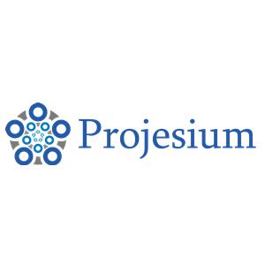 Projesium - Blockchain Meet and Greet